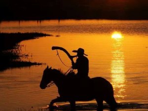 Como que funciona uma Comitiva no Estradão Mato Grosso do Sul Pantanal 