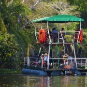 Pantanal foi um divisor de águas na minha carreira', diz Almir