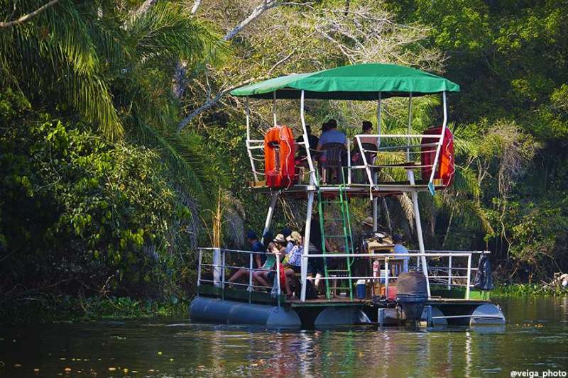 Pantanal foi um divisor de águas na minha carreira', diz Almir