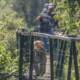 trilha da vazante Fazenda San Francisco Pousada e passeios no Pantanal Sul