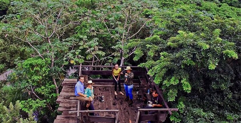 observação da natureza