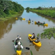 Canoagem no pantanal