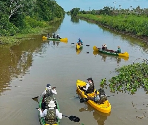 Canoagem no pantanal