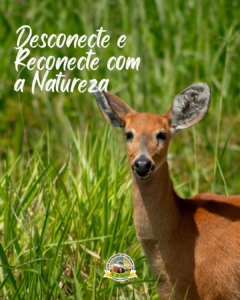 reconectar com a natureza