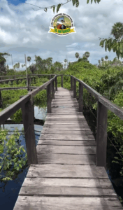 Coração do Pantanal