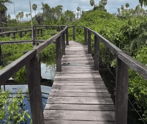 Coração do Pantanal