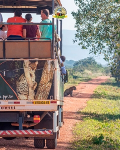 Safári Fotográfico