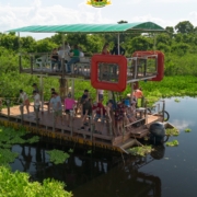 Navegar pelo Pantanal