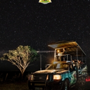 focagem noturna na Fazenda San Francisco