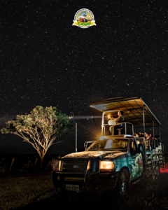 focagem noturna na Fazenda San Francisco