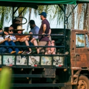 viver o Pantanal de verdade