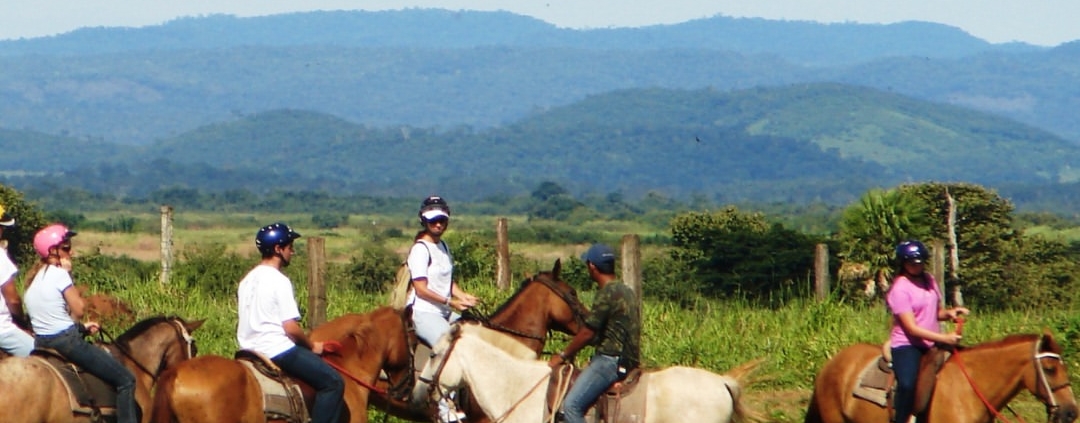 cavalgada pelos campos