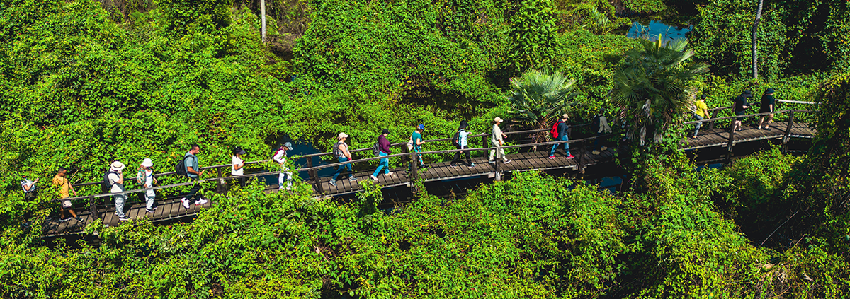Passeio no Pantanal