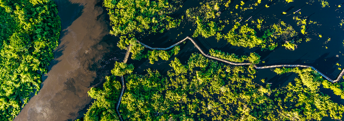 Como chegar no pantanal