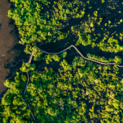 Como chegar no pantanal