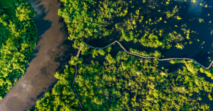 Como chegar no pantanal