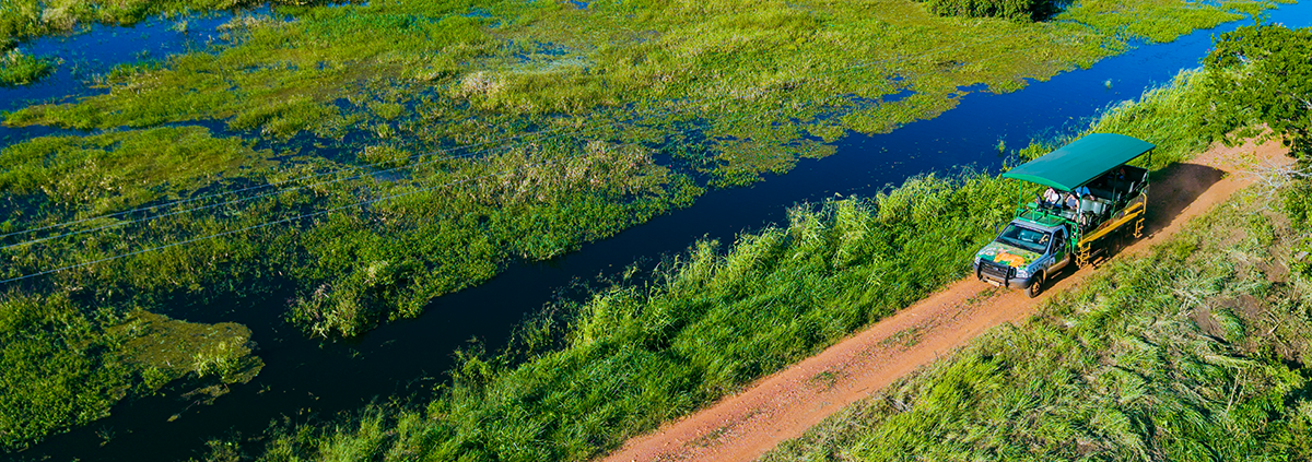 Viagem ao pantanal