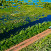 Viagem ao pantanal