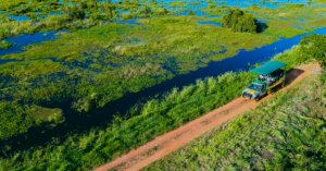 Viagem ao pantanal