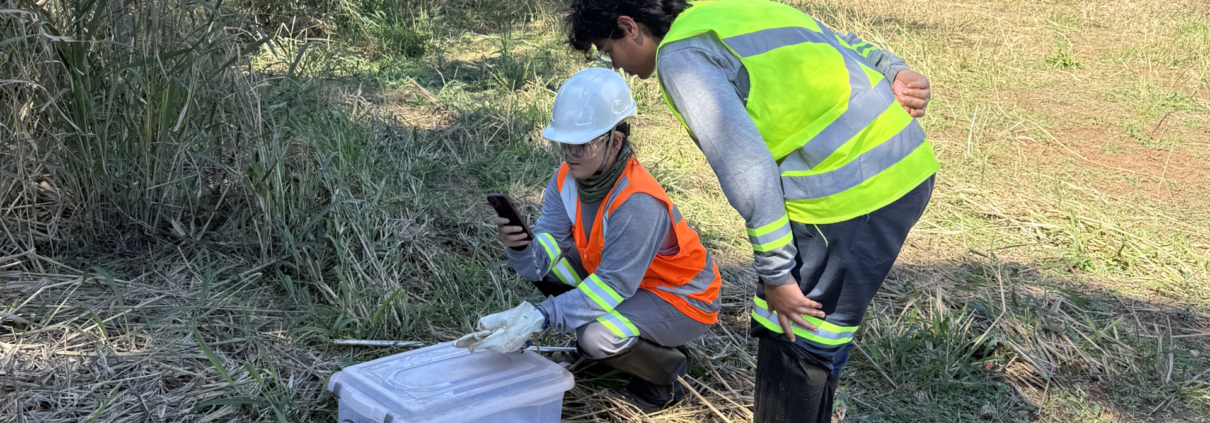 Equipe da ViaFAUNA realizando a soltura de um réptil na área de reserva da Fazenda San Francisco, em uma ação de conservação no Pantanal.