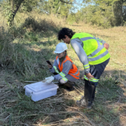 Equipe da ViaFAUNA realizando a soltura de um réptil na área de reserva da Fazenda San Francisco, em uma ação de conservação no Pantanal.