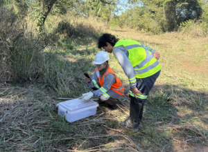 Equipe da ViaFAUNA realizando a soltura de um réptil na área de reserva da Fazenda San Francisco, em uma ação de conservação no Pantanal.